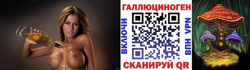 Псилоцибиновые грибы Psilocybe Нерчинск